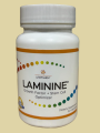 Laminine Supplement by LifePharm (30 caps)